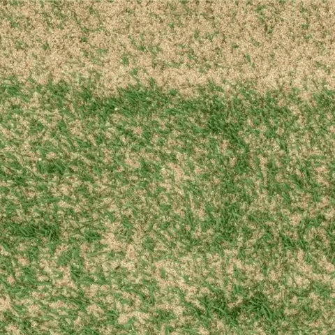 Horticultural Silica Sand