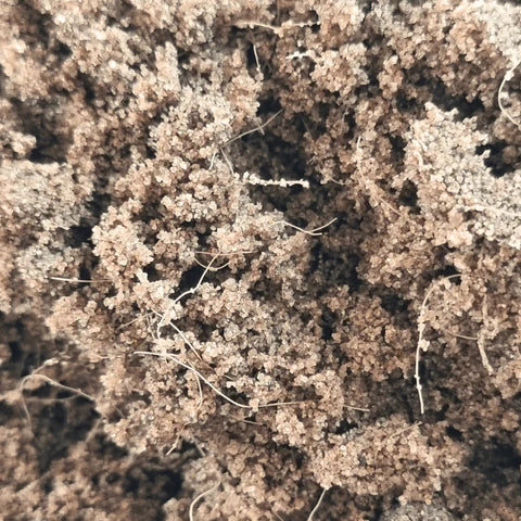 Rootzone Stabilised Substrate Sand