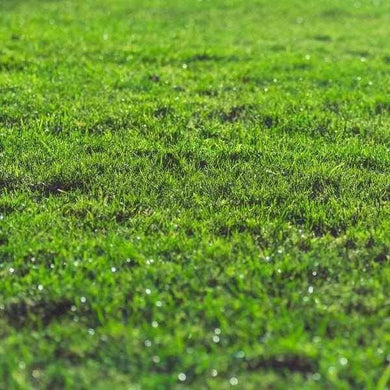 Rootzone Sand and Soil Mix