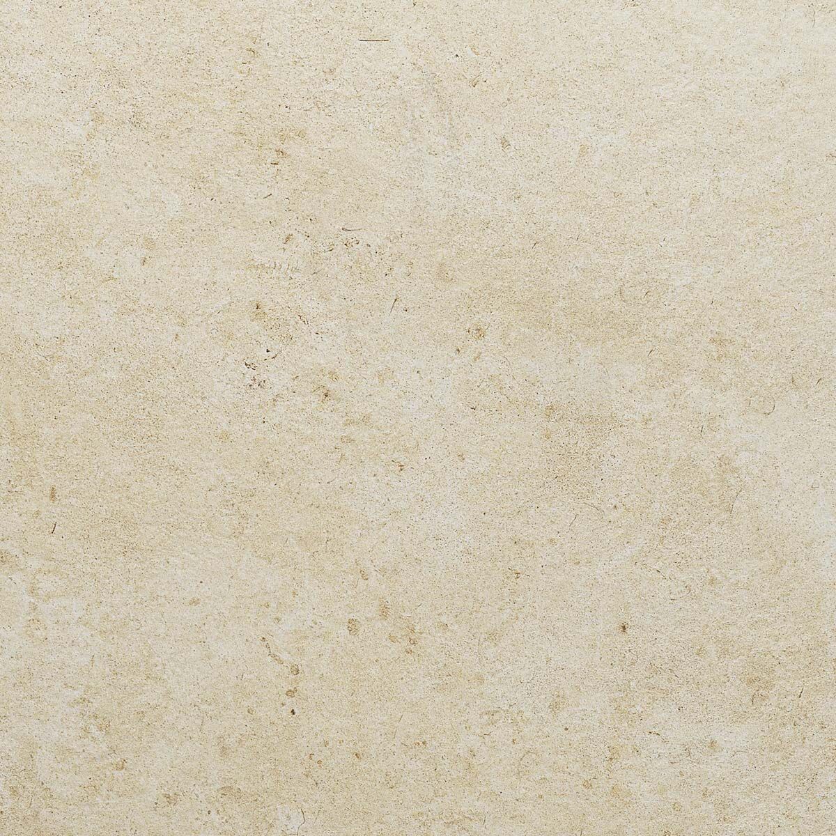 Dolomite French Limestone - Porcelain Paving Slabs (1000 x 500 mm)
