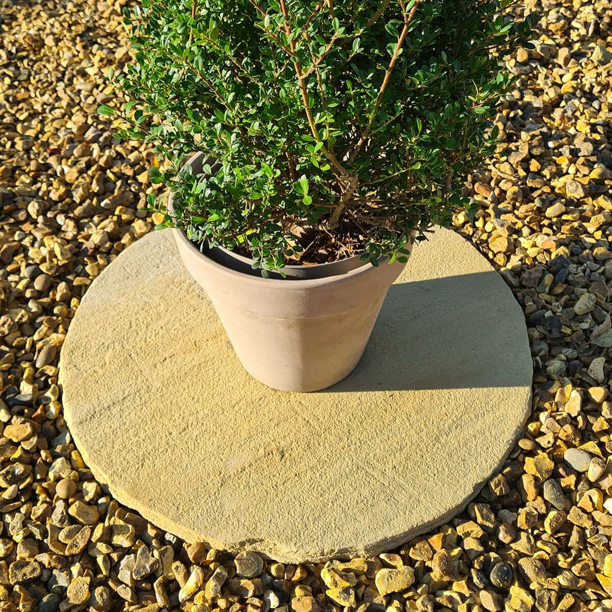 Golden Fossil Sandstone Circle Paver (600 mm Diameter) - Round Stone Base (5 Circle Pieces)