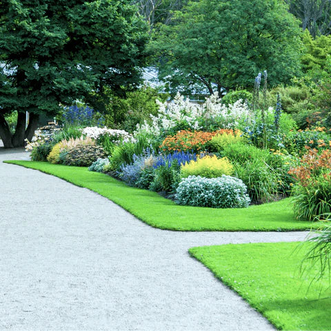 Limestone Dust Fines