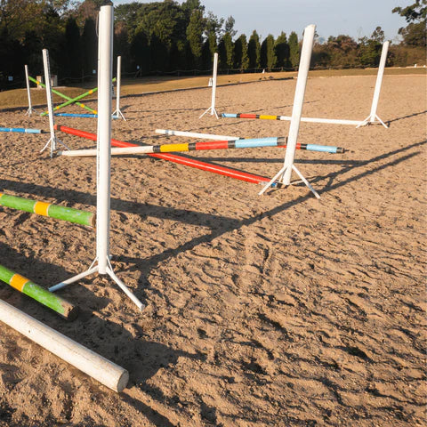 Silica Menage Arena Sand